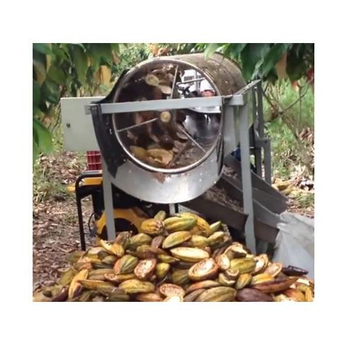 Cocoa Pods Splitting Machine