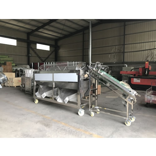 Cocoa Pods Splitting Machine