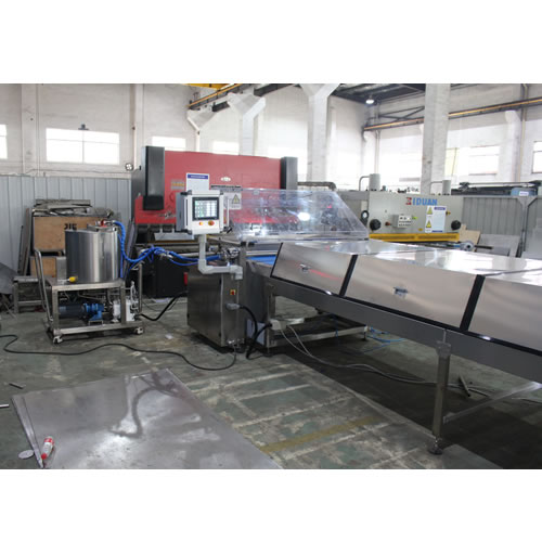 Rotary Type Chips Machine