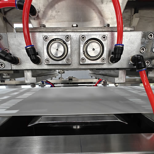 Piston Type Chips Machine